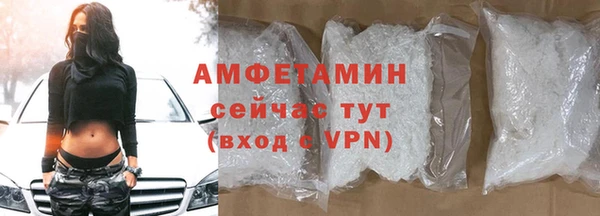сатива Михайлов