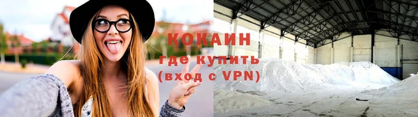 сатива Михайлов