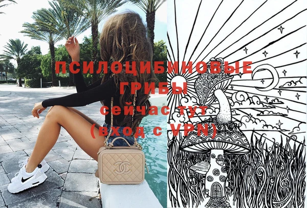 сатива Михайлов