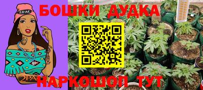 спиды Дубна