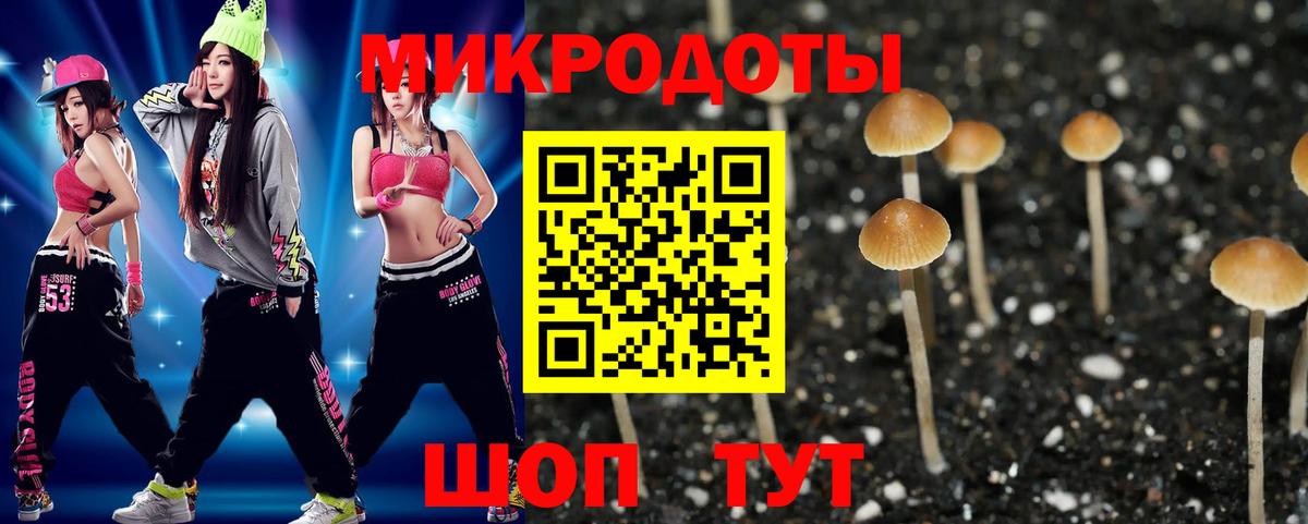 Галлюциногенные грибы прущие грибы Карпинск